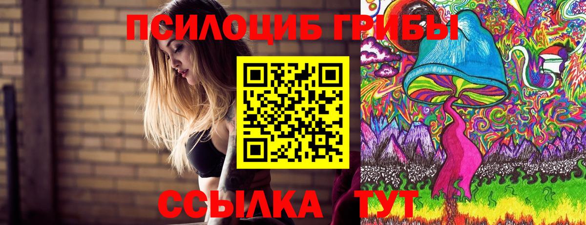 Псилоцибиновые грибы мицелий Ивантеевка